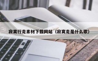 永康寂寞行走素材下载网站（寂寞走是什么歌）